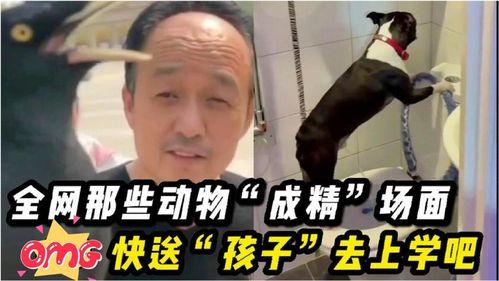 爆料送孩子上学的视频,揭秘送孩子上学背后的温馨瞬间