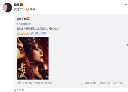 郑燕姿被爆料过吗视频